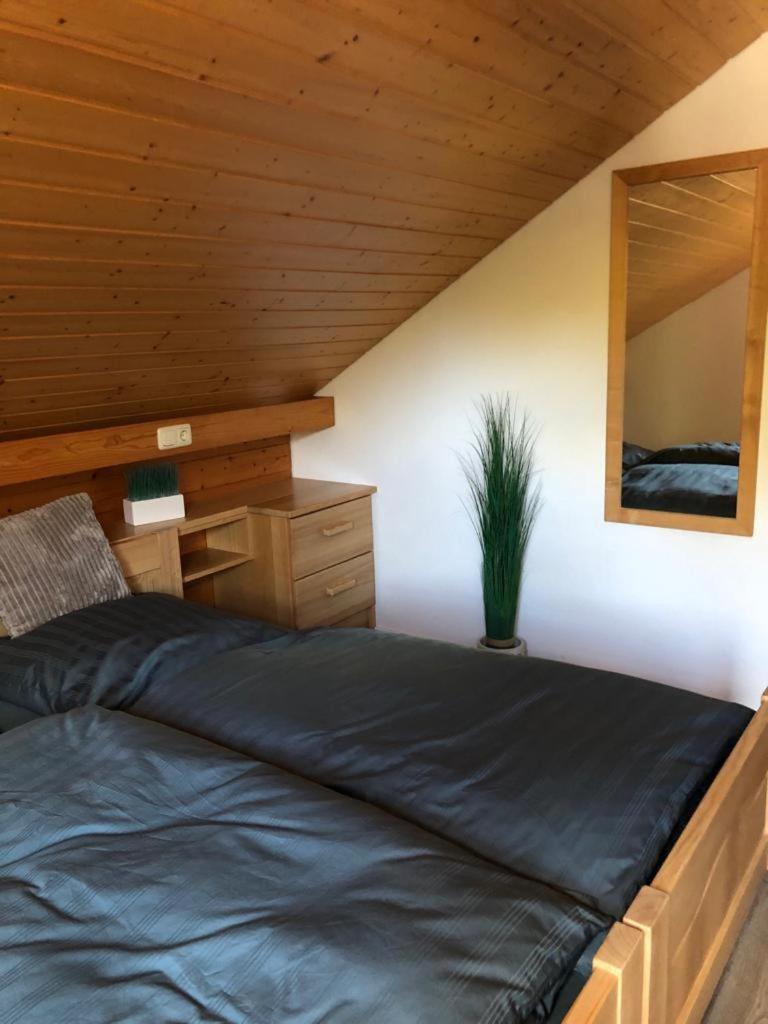 Ferienwohnung Buchenblick Моншау Екстериор снимка